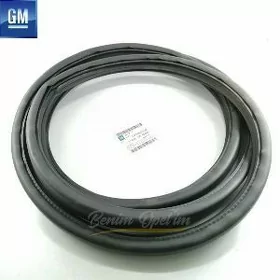 Opel gapyñ rezinlary