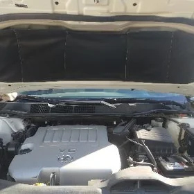 Toyota Venza 2009