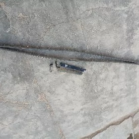 210 molnik gusak