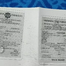 Tex pasport
