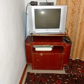 telewizor