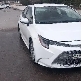 Toyota Corolla 2021