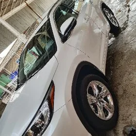 Toyota Highlander 2019