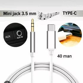 AUX KABEL