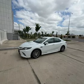 Toyota Camry 2020