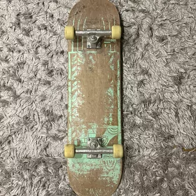 Skateboard