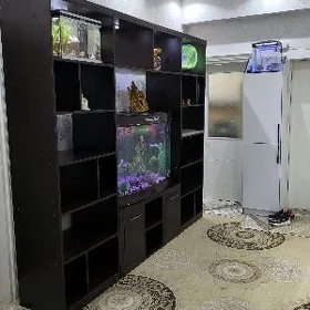 Akwaryum balyk