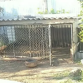 ýatak