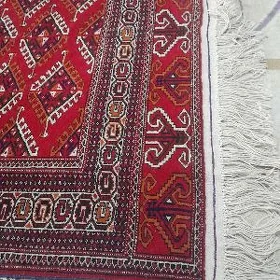 El haly tazeje