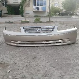 Бабычка морда