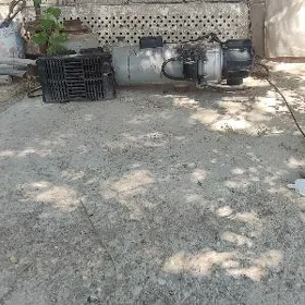 awtanomka salyarka pec