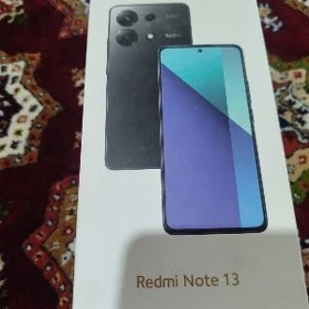 Radmi not 13