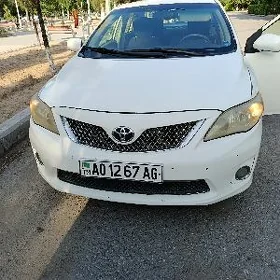 Toyota Corolla 2013