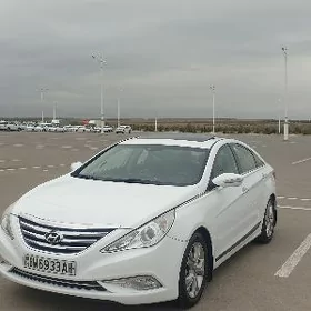 Hyundai Sonata 2010