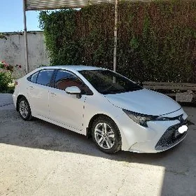 Toyota Corolla 2022