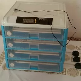 Inkubator 350 ştuk.