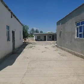 Bekrewe jaý