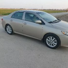 Toyota Corolla 2010