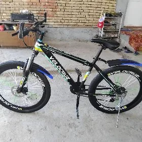 Velocruz tigir