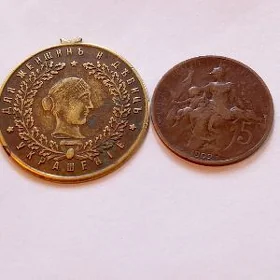 монета