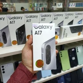A17 4/128  Garaşaryna 