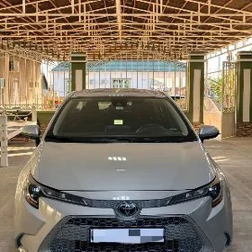 Toyota Corolla 2023