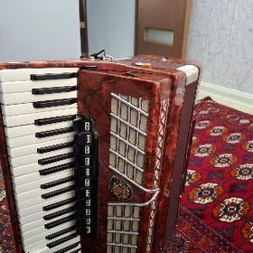 akkordeon аккордеон