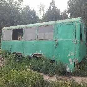 satlyk butga