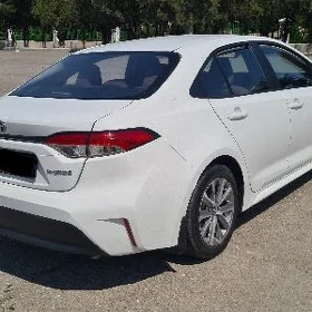 Toyota Corolla 2023
