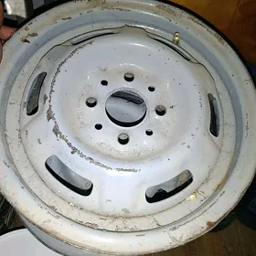 13 dysga