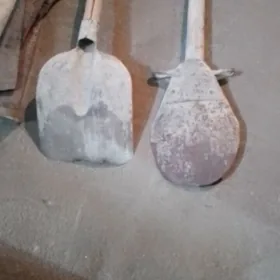 Pil Lapatka
