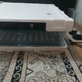 inkubator