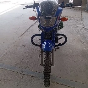 Fekon FK150-8G 2013