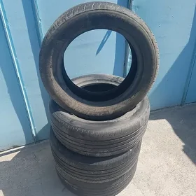 Teker 205/55/R16