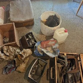 Gaz acarlar başgada acarlar