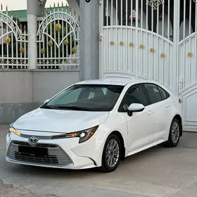 Toyota Corolla 2023