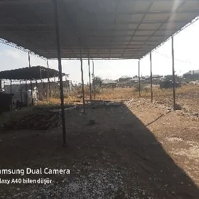 yoloten mal bazaryn gapdaly
