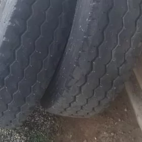 Traingle Teker 12 00 R 20