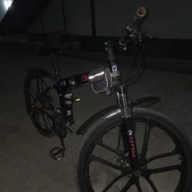 BMW TIGIR