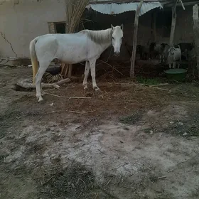 At