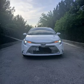 Toyota Corolla 2021