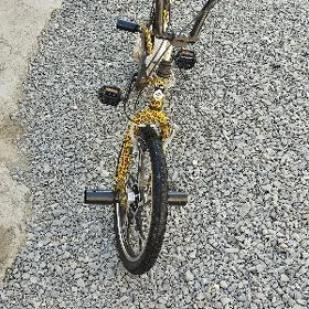 tigir duga päket