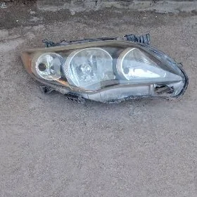 corolla