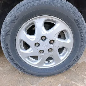15 lik disga pakrysga