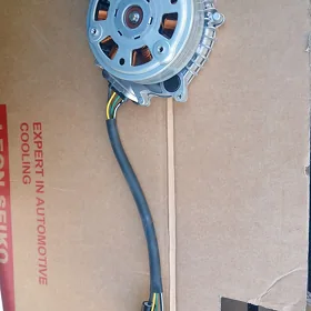 kia carniwal mator