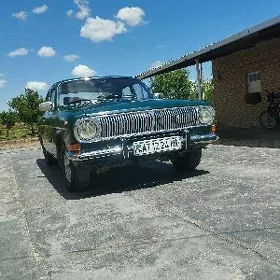 Gaz 24 1981