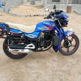 Fekon FK150-8G 2014