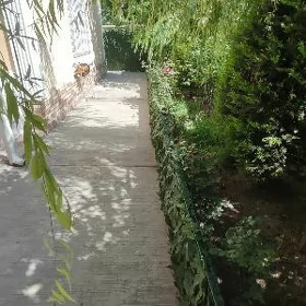Sentr Merkez Beyik patalok