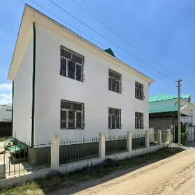 Anew Gos Kotež! 8sotyk. 6Kom