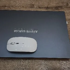 Aydyn gijeler notebook